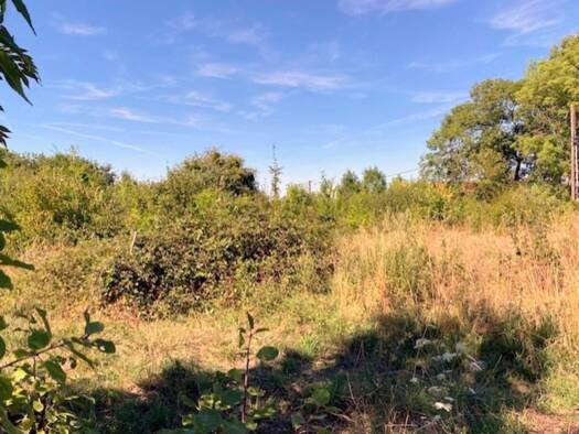 Terrain à vendre 20 000 € 1 117 m² de terrain Cerisiers 89320