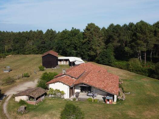 Maison à vendre 490 000 € 7 pièces 5 chambres 207 m² 41 170 m² de terrain Bazas 33430