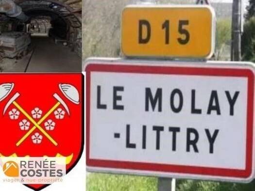 Maison en viager occupé Bouquet 59 950 € 5 pièces 5 chambres 110 m² 840 m² de terrain Le Molay Littry 14330
