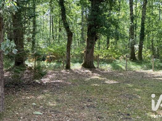 Maison de plain-pied à vendre 160 000 € 3 pièces 2 chambres 66 m² 1 592 m² de terrain Gaillan-en-Médoc 33340