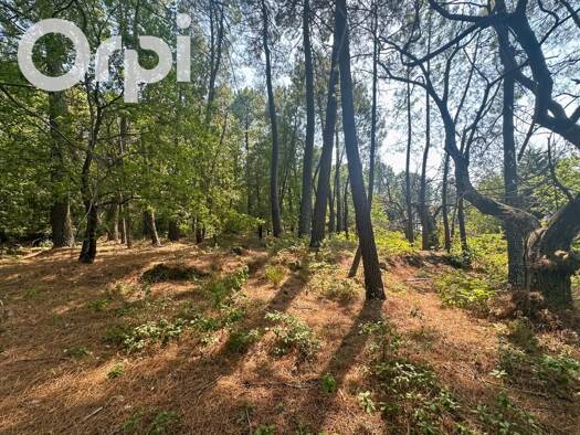 Terrain constructible à vendre 100 000 € 1 800 m² de terrain Ailhon 07200