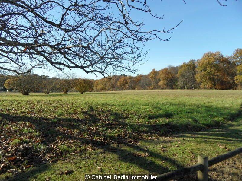 Maison à louer, 73m², SALLEBOEUF