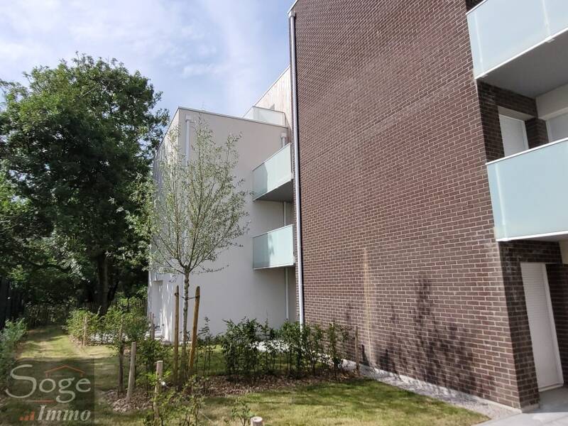 Maison à louer, 43m², WERVICQ SUD