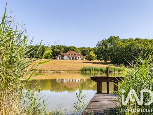 Demeure à vendre 940 000 € 11 pièces 5 chambres 520 m² 120 905 m² de terrain La Ferté-Saint-Cyr 41220