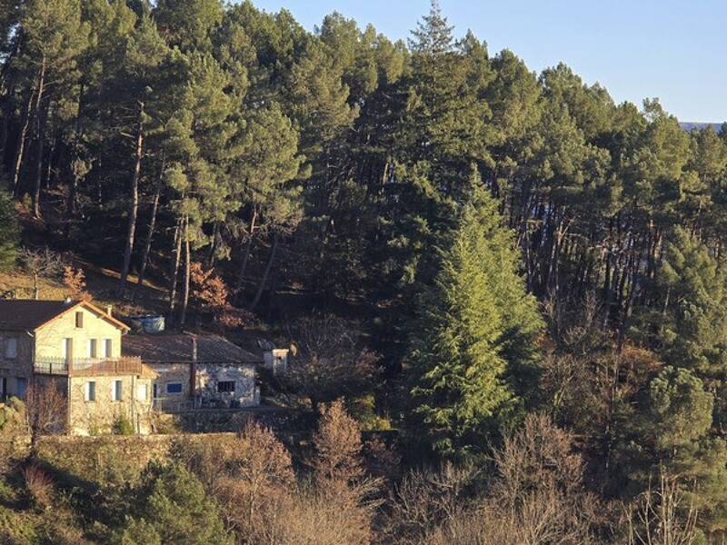 Maison à vendre, 176m², SAINT SAUVEUR DE MONTAGUT