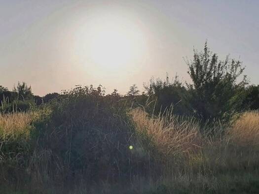 Terrain à vendre 28 000 € 1 465 m² de terrain Saint-Ciers-du-Taillon 17240