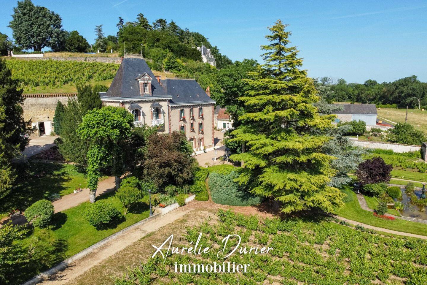 Maison à vendre, 500m², VERNOU SUR BRENNE