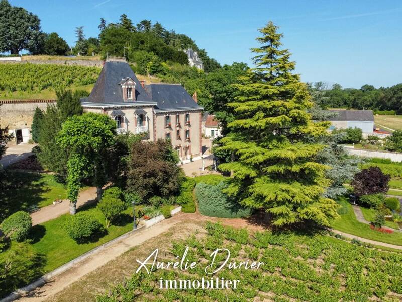 Maison à vendre, 500m², VERNOU SUR BRENNE