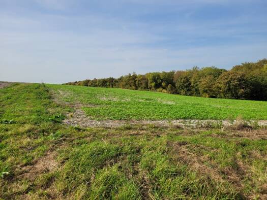 Terrain constructible viabilisé à vendre 89 000 € 1 922 m² de terrain Thugny-Trugny 08300