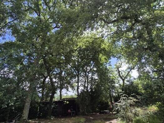 Terrain constructible à vendre 129 000 € 1 153 m² de terrain Le Temple 33680