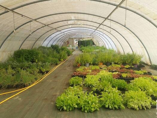 Local commercial à vendre 293 000 € 800 m² de surface de vente Saint-Magne-de-Castillon 33350