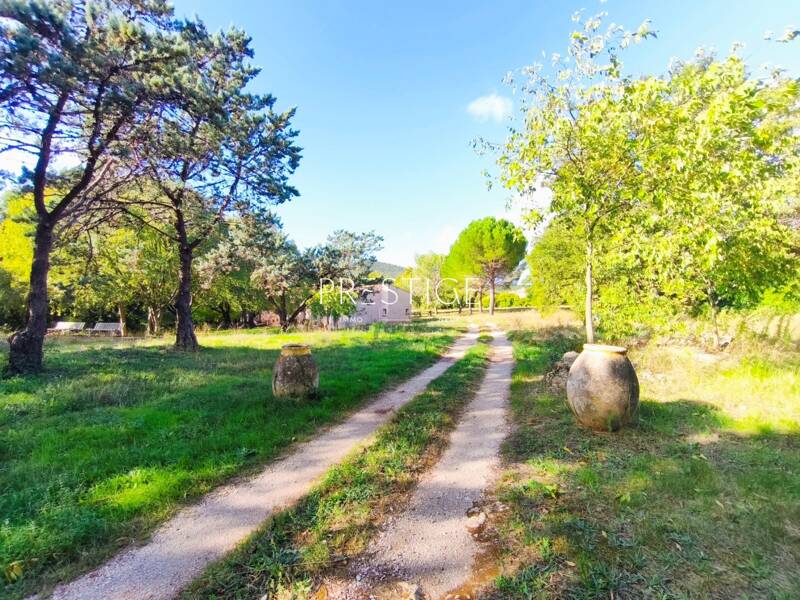 Maison à vendre, 248m², VIOLS LE FORT