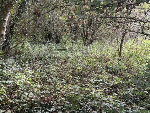 Terrain à vendre 24 900 € 4 469 m² de terrain Féchain 59247