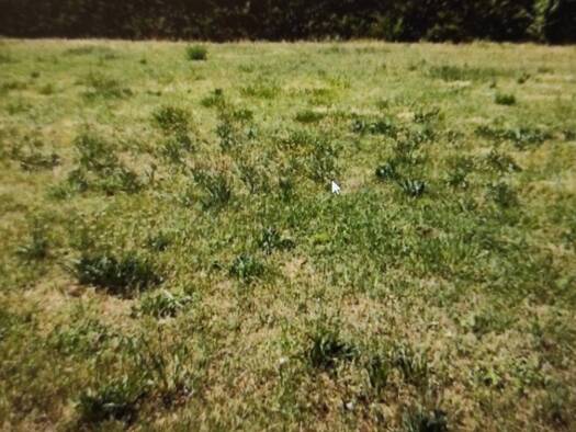 Terrain constructible à vendre 63 600 € 526 m² de terrain La Saussaye 27370