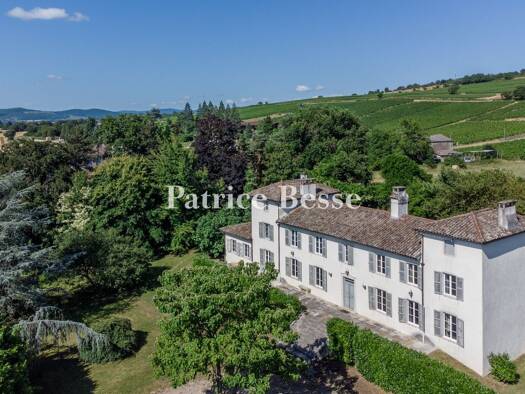 Maison à vendre 980 000 € 10 pièces 5 chambres 330 m² 5 634 m² de terrain Tournus 71700
