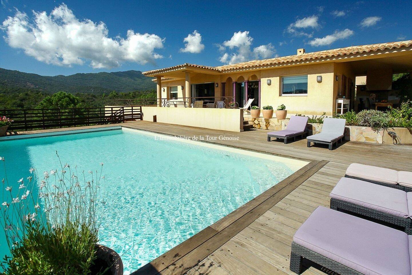 Maison à vendre, 195m², SARI SOLENZARA