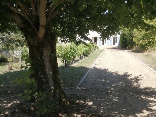 Maison à vendre 243 000 € 4 pièces 3 chambres 106 m² 857 m² de terrain Saint-Fort-sur-Gironde 17240