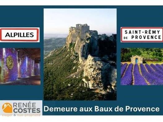 Maison en viager occupé Bouquet 2 565 500 € 6 pièces 4 chambres 233 m² 25 274 m² de terrain Les Baux de Provence 13520