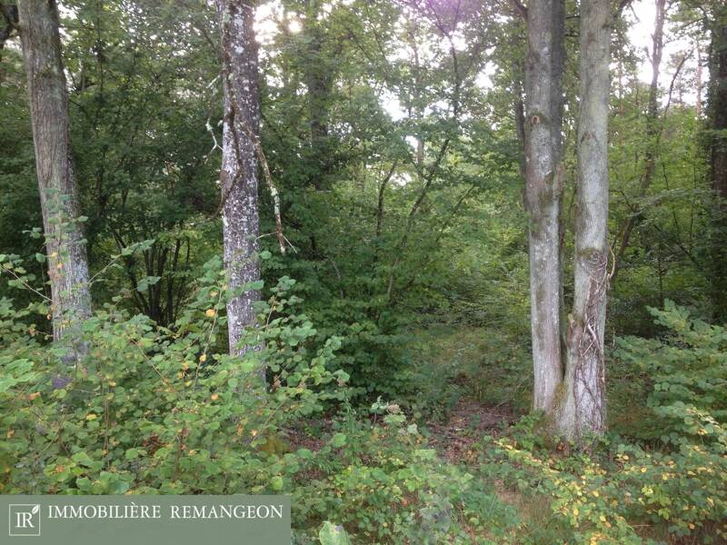 Maison à vendre, 0m², NEUVY SUR BARANGEON
