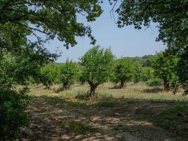 Maison à vendre, 215m², BOUQUET