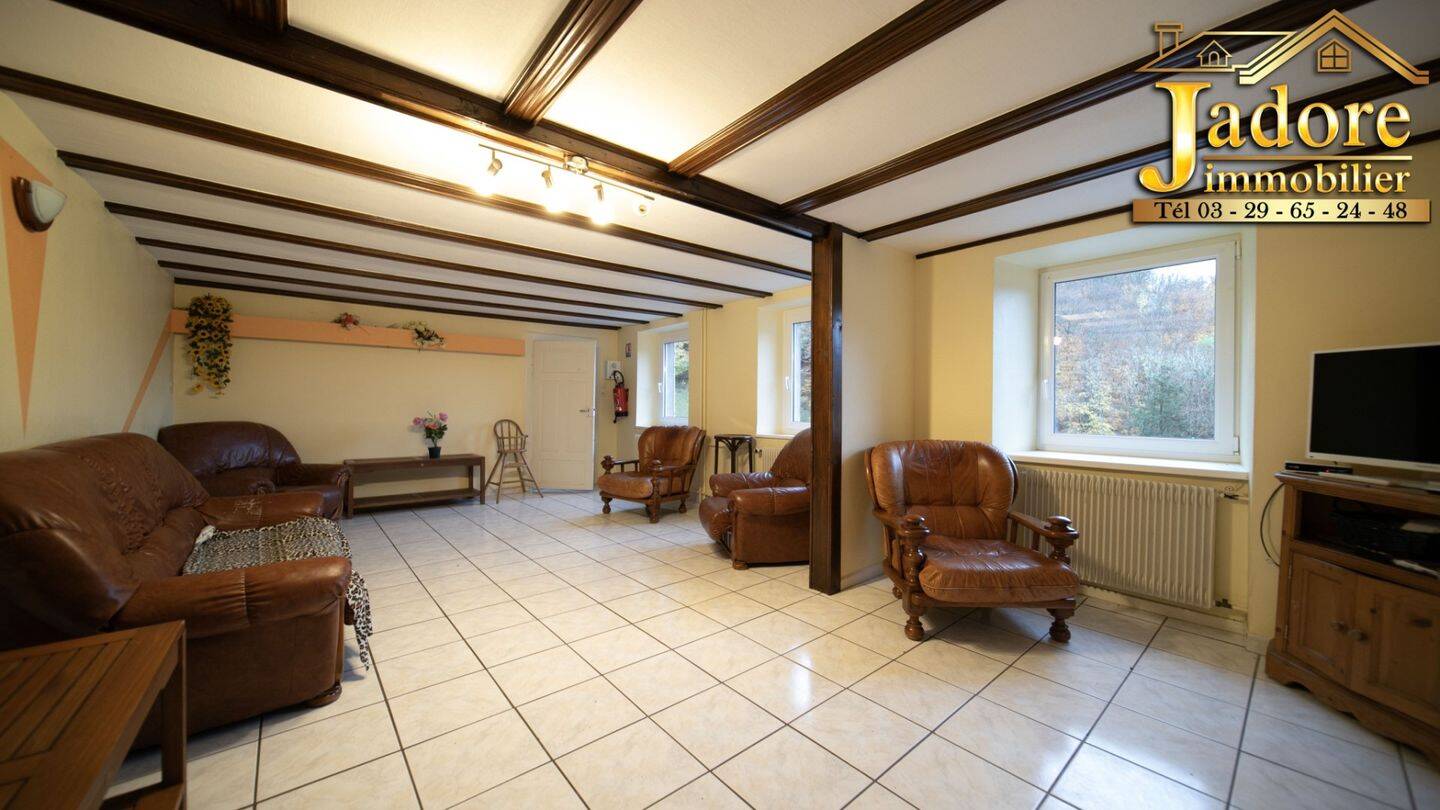 Maison à vendre, 630m², SAINTE MARIE AUX MINES