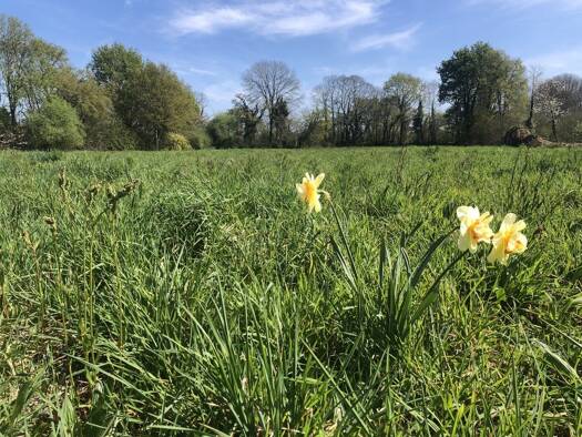 Terrain constructible viabilisé à vendre 69 900 € 511 m² de terrain Baye 29300