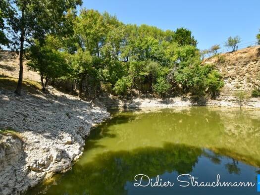 Maison en viager libre Bouquet 195 000 € 8 pièces 4 chambres 216 m² 32 694 m² de terrain Sud Surgères 17700