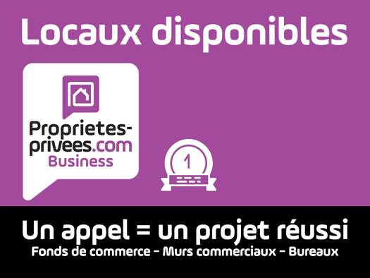 Local commercial avec bail commercial 2 138 € 414 m² de surface de vente divisible Chancelade 24650