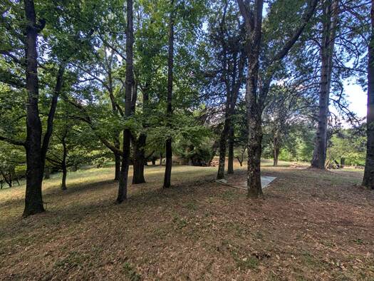 Terrain à vendre 320 000 € 16 000 m² de terrain Les-Collines Vienne 38200