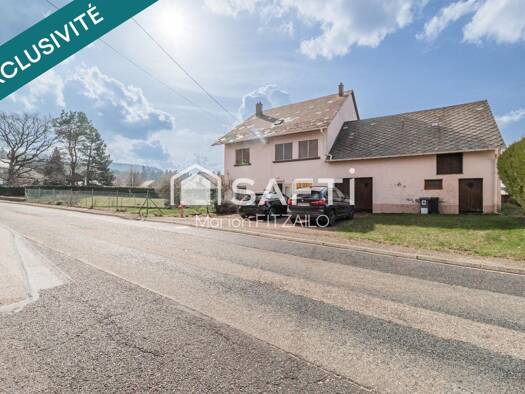 Maison à vendre 190 000 € 7 pièces 4 chambres 164 m² 2 170 m² de terrain Dabo 57850