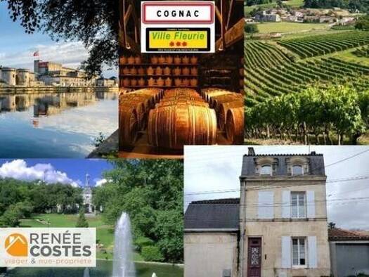 Maison en viager occupé Bouquet 29 725 € 4 pièces 2 chambres 100 m² 77 m² de terrain Hôtel de Ville Cognac 16100