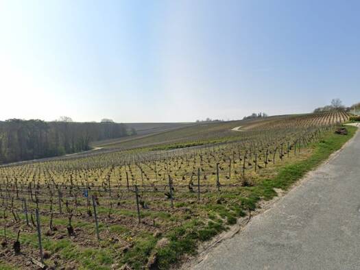 Terrain constructible à vendre 123 000 € 500 m² de terrain Centre Ville Reims 51100
