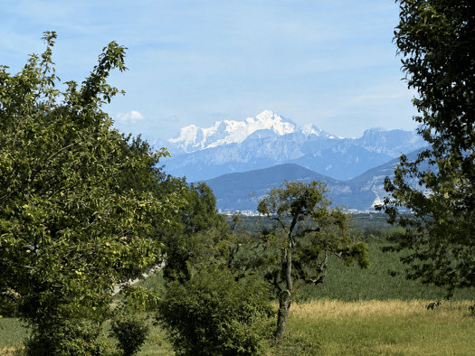 Terrain constructible à vendre 360 000 € 540 m² de terrain Crozet 01170