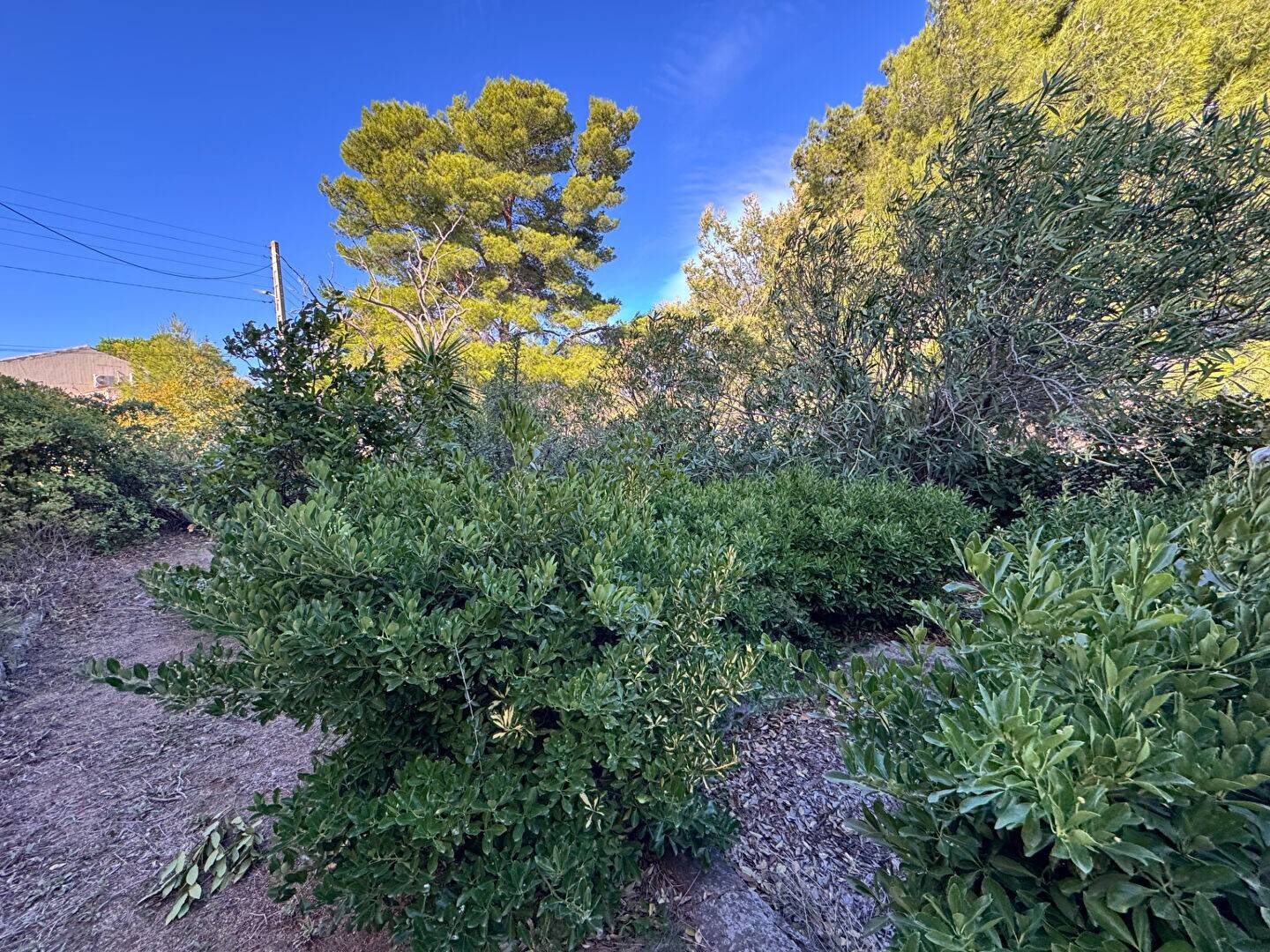 Maison à vendre, 409m², L'ILE ROUSSE