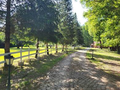 Maison à vendre 698 000 € 9 pièces 5 chambres 250 m² Bouzy-la-Forêt 45460