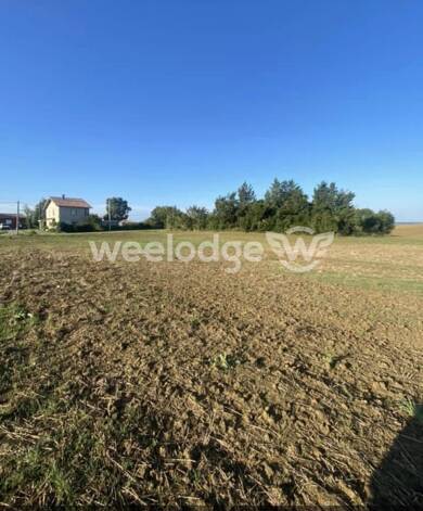 Terrain à vendre 48 387 € 965 m² de terrain Cadours 31480