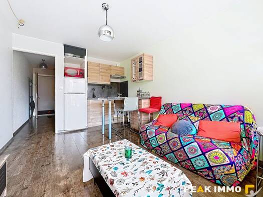 Appartement à vendre 115 000 € 2 pièces 1 chambre 24,1 m² Étage 1/3 Sallanches 74700