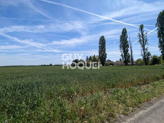 Terrain constructible viabilisé à vendre 44 000 € 1 232 m² de terrain Centre Ville-Saint Martial Chauvigny 86300