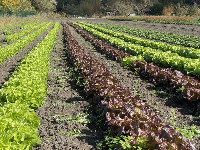 Maison à vendre, 85m², AMIENS