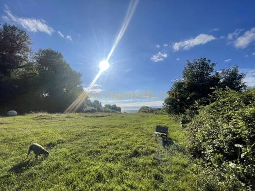 Maison en viager occupé Bouquet 1 150 000 € 13 pièces 9 chambres 430,7 m² Cricquebœuf 14113