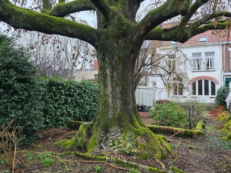 Maison à vendre, 150m², LILLE