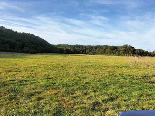 Terrain champêtre/forestier à vendre 117 250 € 120 000 m² de terrain Saint-Jean-sur-Mayenne 53240