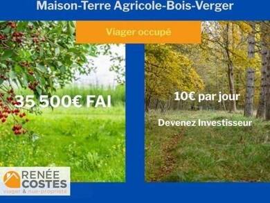 Maison en viager occupé Bouquet 35 500 € 4 pièces 2 chambres 80 m² 10 300 m² de terrain Redon 35600