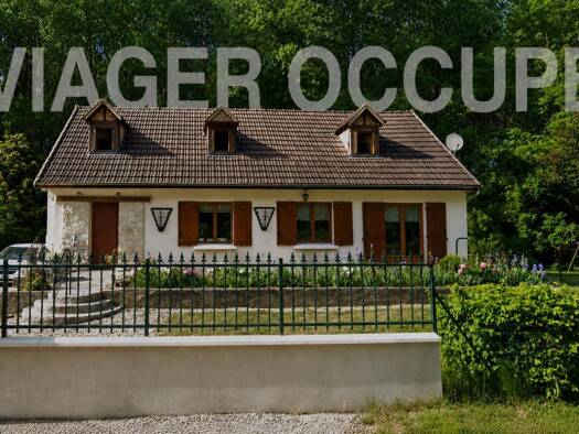 Maison en viager occupé Bouquet 39 000 € 4 pièces 2 chambres 114 m² 1 028 m² de terrain Veuilly-la-Poterie 02810