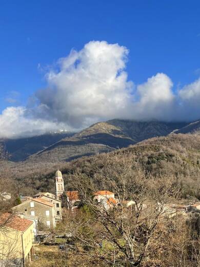 Villa à vendre 410 000 € 6 pièces 4 chambres 182 m² 415 m² de terrain Bastelica 20119