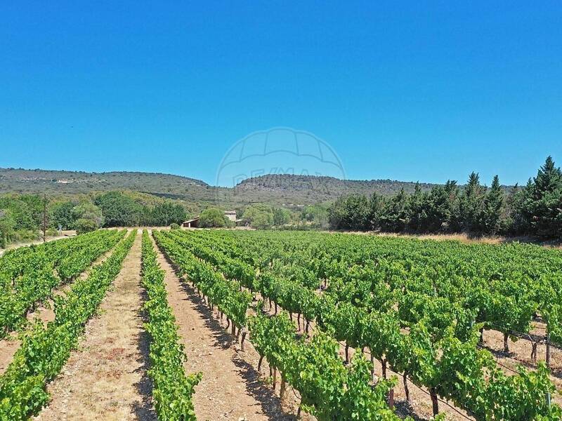 Maison à vendre, 494m², GORDES