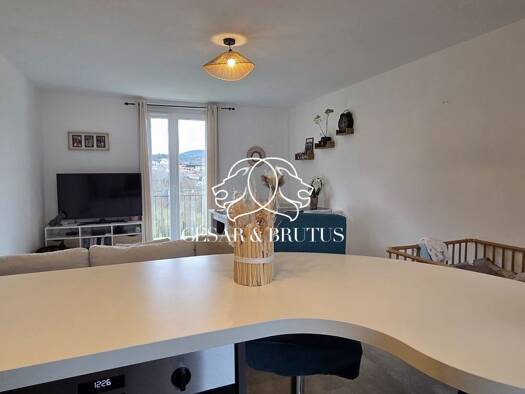 Appartement à vendre 105 000 € 3 pièces 2 chambres 55 m² RDC/2 Zone Verte Ours-Mons Le Puy-en-Velay 43000