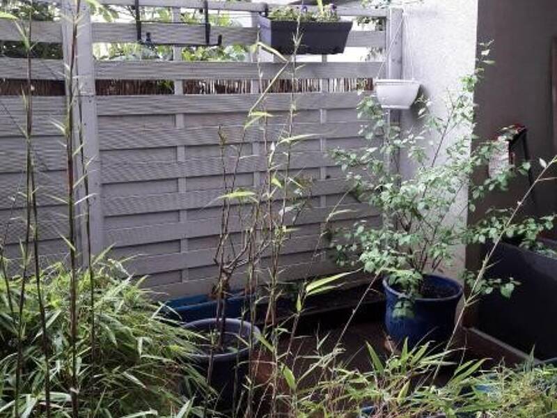 Maison à louer, 53m², LYON 3E