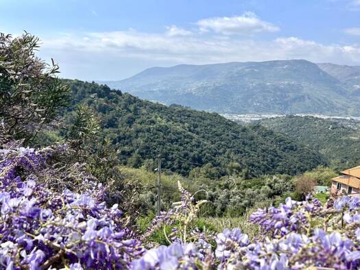 Maison à vendre 530 000 € 5 pièces 4 chambres 201 m² 1 000 m² de terrain Castagniers 06670