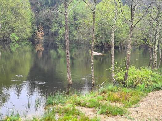 Terrain à vendre 485 000 € Le Bez 81260